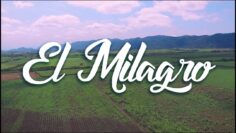 Marcos Vidal – El Milagro (Vídeo Lyrics Oficial)